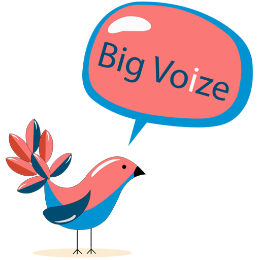 Bigvoize - 3.9.3 Icon