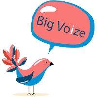 Bigvoize -