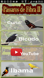 Bicudos e Curiós