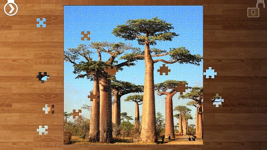 Jigsaw Puzzles - Landscape Unknown