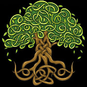 Save & Plant Real Trees  Icon