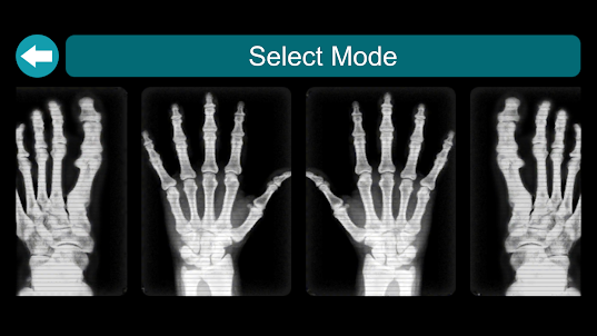 X-Ray Scanner Simulator Prank