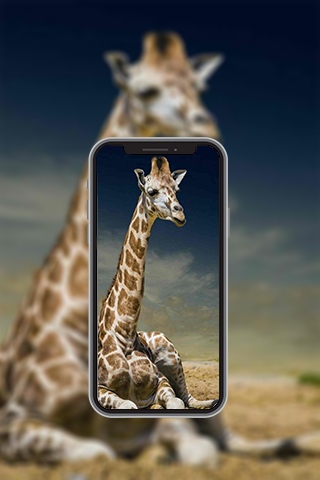 Animal Wallpapers in4K,HD Screen 3