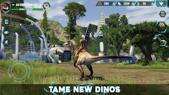 Game screenshot Dino Tamers - Jurassic MMO apk download