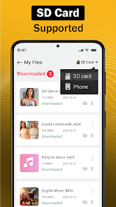 Video Downloader_12