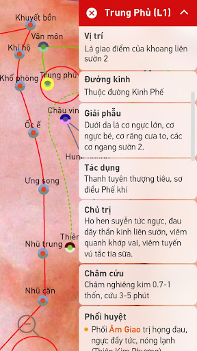 Huyệt vị Kinh Mạch screenshot 3