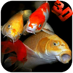 Cover Image of Download Koi HD Video Live Wallpaper  APK