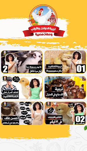 تربية الفراخ في المنزل Screen 2