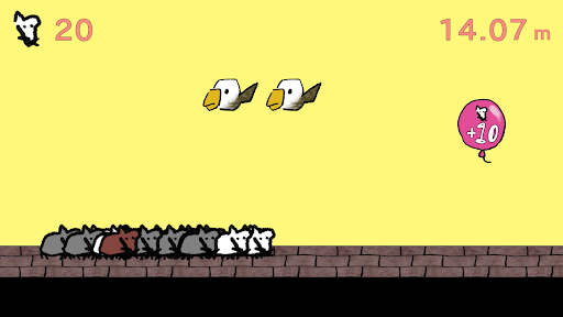 FerretForever Screen 3