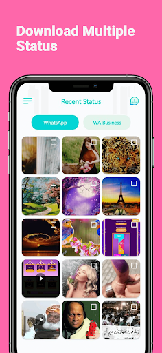 EXE - Status Saver Downloader