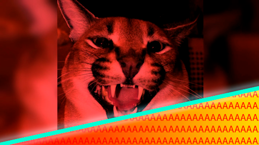 Logo https://play-lh.googleusercontent.com/P8rAMJZrS426NImAUlo8H5SyZBxs13tfTHlQiyXa8S58Zxtxid2vkYBduFWci7oUIH59