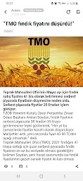 Fındık Borsası - 2022 Güncel