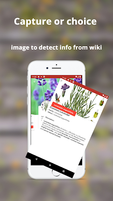 Plant ID: plant, tree, flower identificationのおすすめ画像2