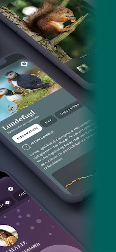 ibbi (beta) Screen 3
