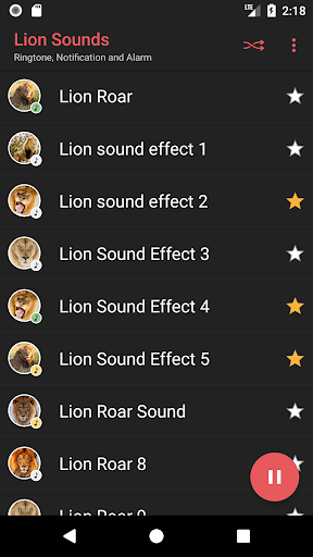 Lion Sounds Screen 2