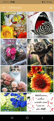 Tägliche Guten Morgen Bilder