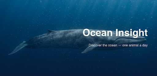 Ocean Insight