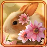 Cover Image of 下载 Bunnies Wallpaper  APK