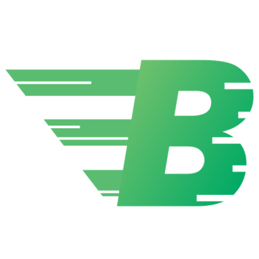 BCPay Wallet logo