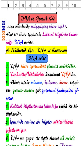8. Sınıf Fen Bilimleri Özetli Screen 2
