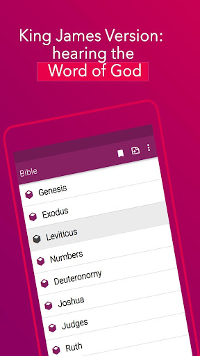 KJV Bible Offline with audio Screen 2