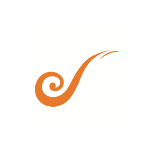 BO DrukRide logo