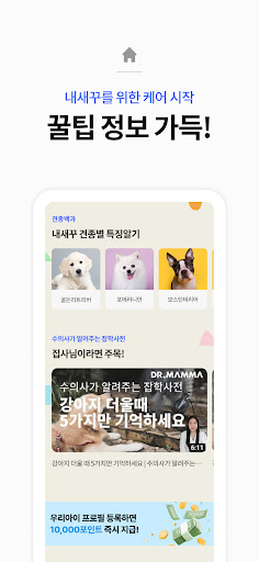 와이펫 - 동물등록부터 시작하는 반려동물 필수 앱