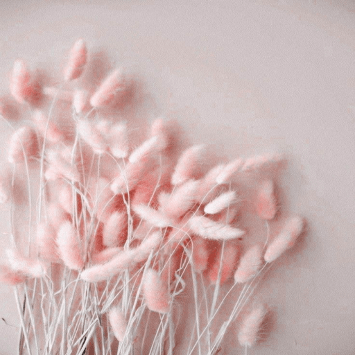 pink image _ pink wallpaper logo