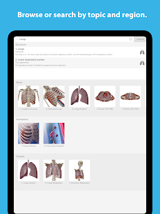 Human Anatomy Atlas 2023 Screenshot