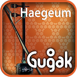 Haegeum(kr) icon