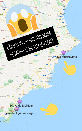 Android application Aquihayplaya.com ¿Hay medusas? screenshort