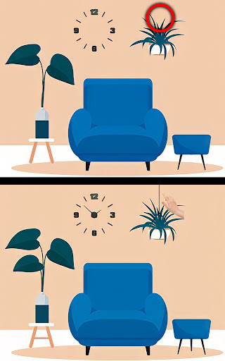 Find the differences spot it