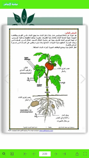 الخبير في امراض محاصيل الخضر