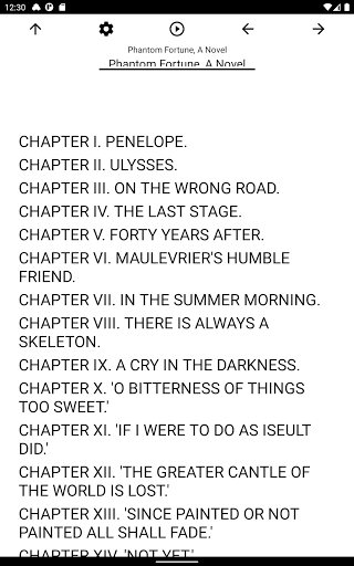 Book, Phantom Fortune, A Novel Screen 3