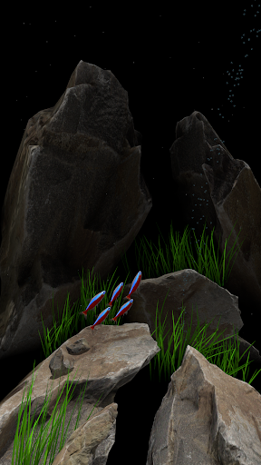 Nano Aquarium Screen 3