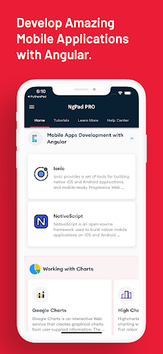 Screenshot of Learn Angular: AngularDev PRO