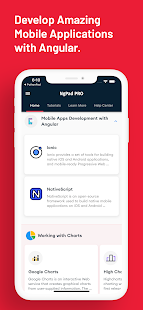 למד Angular: AngularDev PRO צילום מסך