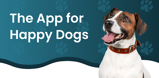 DOGLi - Dog Enrichment & Games