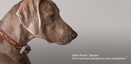garmin delta smart dog