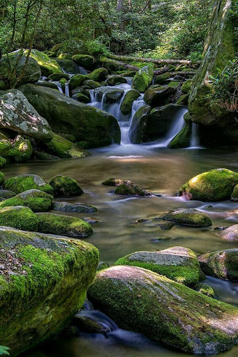 Waterfall Video Wallpaper