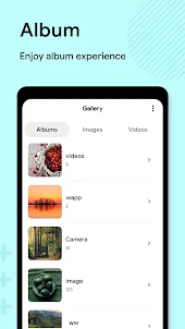 Gallery & Video Player