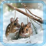 Cover Image of Baixar Winter Forest Life HD 1.2 APK