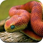 Snake Wallpaper 4K APK - Download for Android 