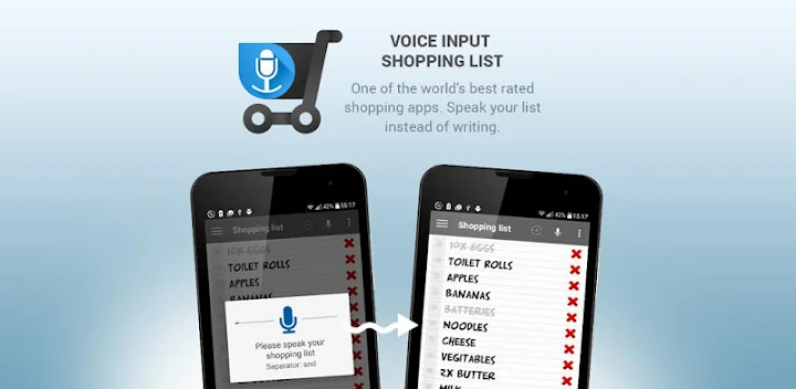 Shopping list voice input