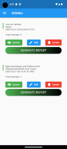 MSME Categorization Tool Screen 3