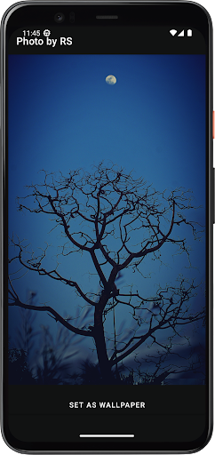 Photography & Wallpapers Screen 2