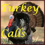 Turkey Calls HD Apk