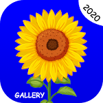 Cover Image of Download Gallery - Photo and Video Player 1.0 APK