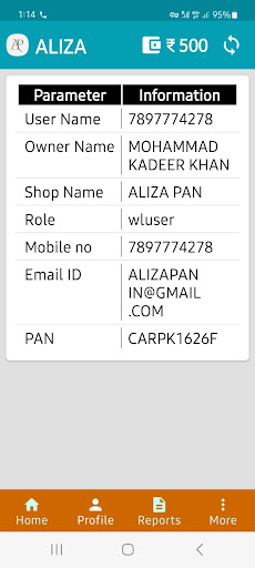 ALIZA PAN Screen 3