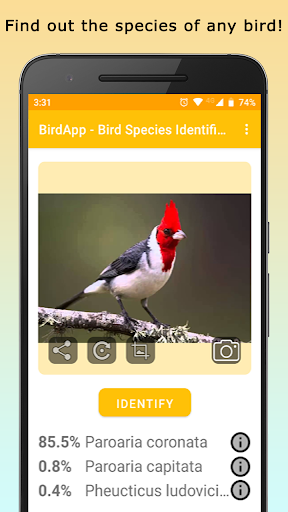 Android application BirdsID - Identify Birds screenshort